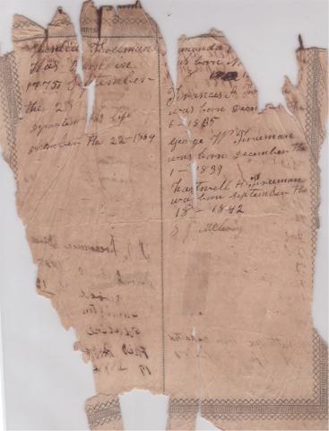 Williamson Patterson Wise Bible