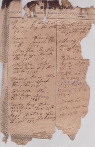 Williamson Patterson Wise Bible