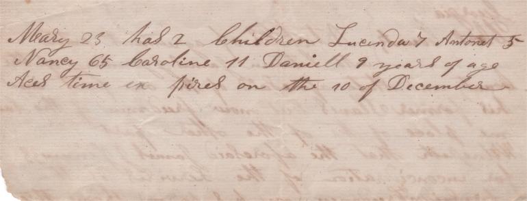 Freedman Contract