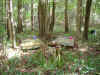 13.jpg (463038 bytes)