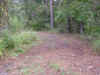 1.jpg (347570 bytes)