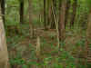 3.jpg (468199 bytes)