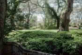 Grounds at Christ Episcopal Church