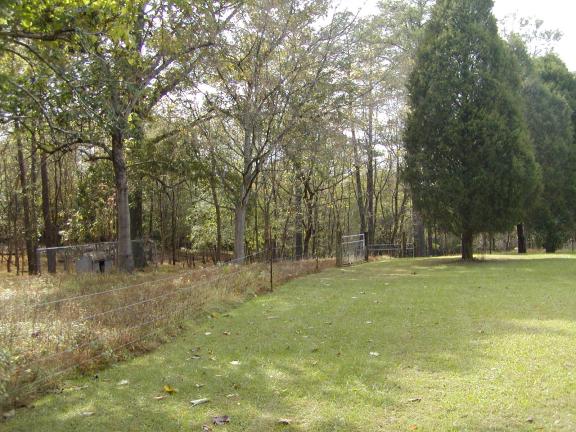 North Side of Back Yard