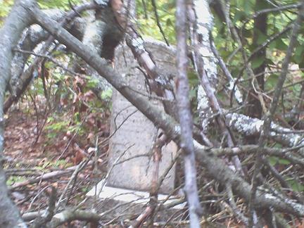 Teague Cemetery Before