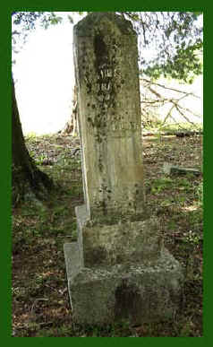 wpe21D.jpg (21305 bytes)