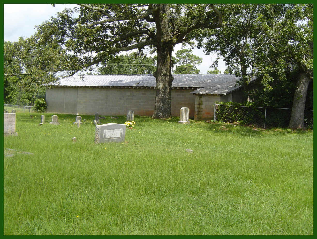 wpe20F.jpg (214222 bytes)