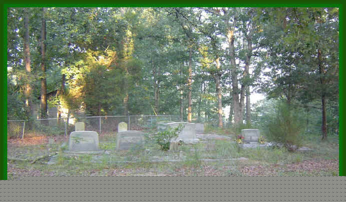 wpe203.jpg (182099 bytes)