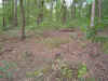 wpe219.jpg (342868 bytes)
