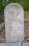 wpe1D1.jpg (137055 bytes)