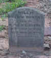 wpe1D3.jpg (101465 bytes)
