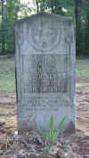 wpe1E5.jpg (117676 bytes)