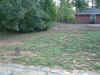 wpe1E7.jpg (53689 bytes)