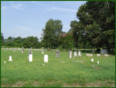 wpe1FB.jpg (167460 bytes)