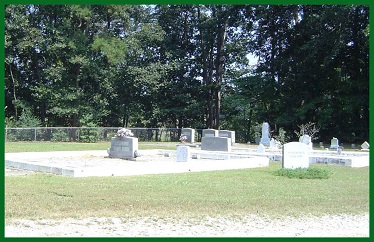 wpe248.jpg (137370 bytes)