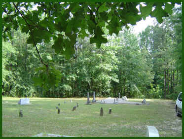 wpe220.jpg (213757 bytes)