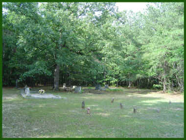 wpe221.jpg (226414 bytes)