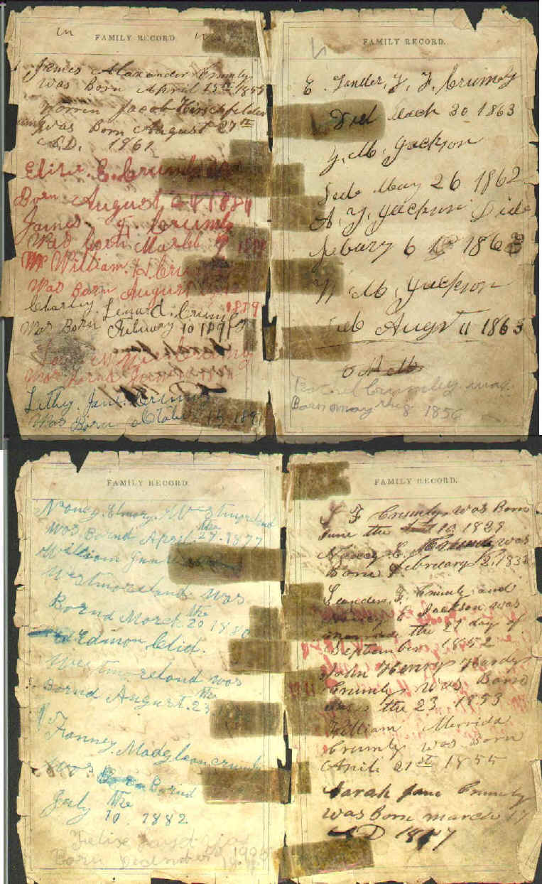 wpeA6.jpg (209524 bytes)