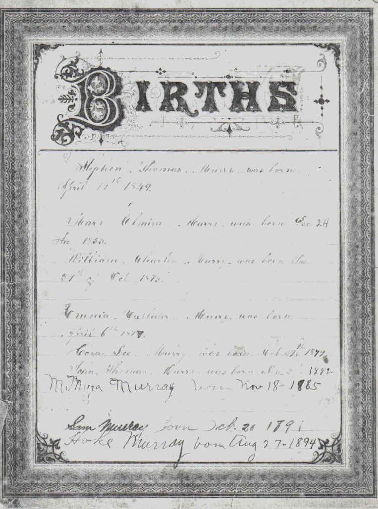 wpe167.jpg (187832 bytes)