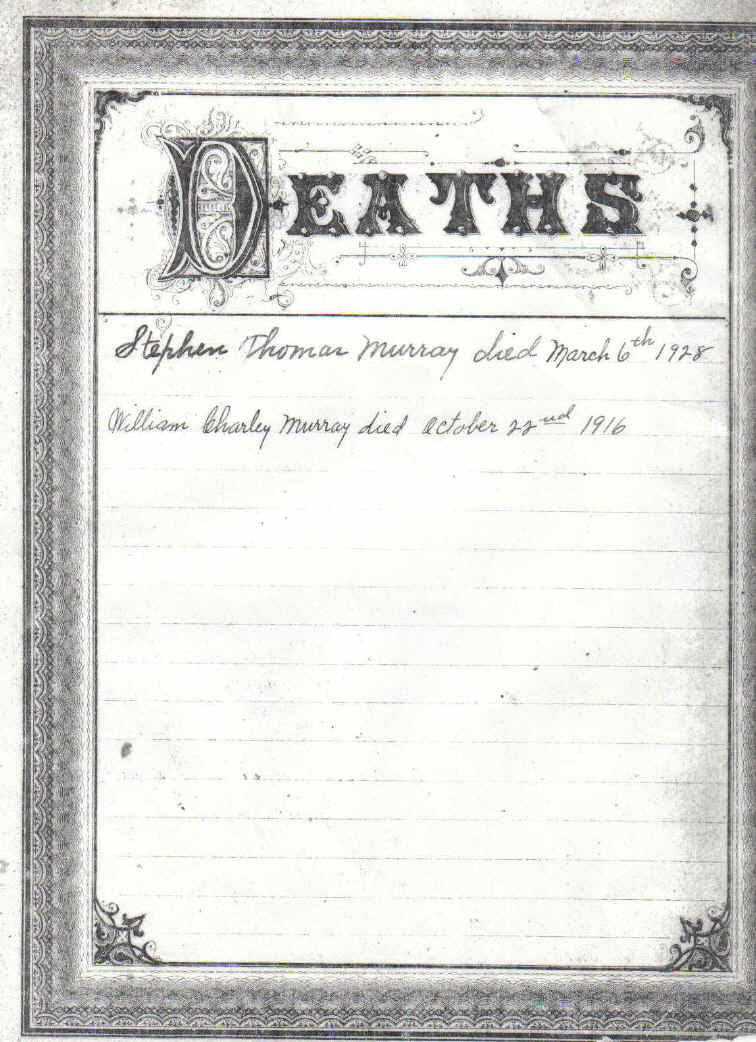 wpe168.jpg (224992 bytes)