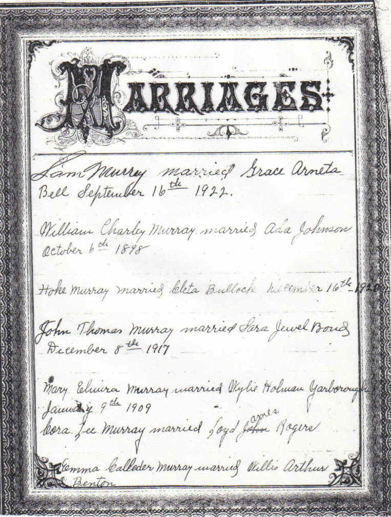 wpe169.jpg (262817 bytes)