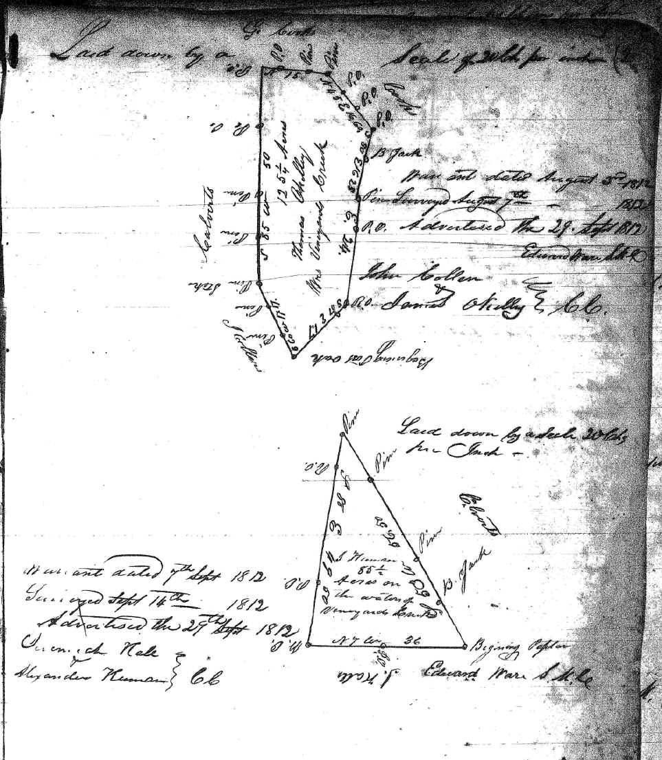 wpe71.jpg (2015307 bytes)