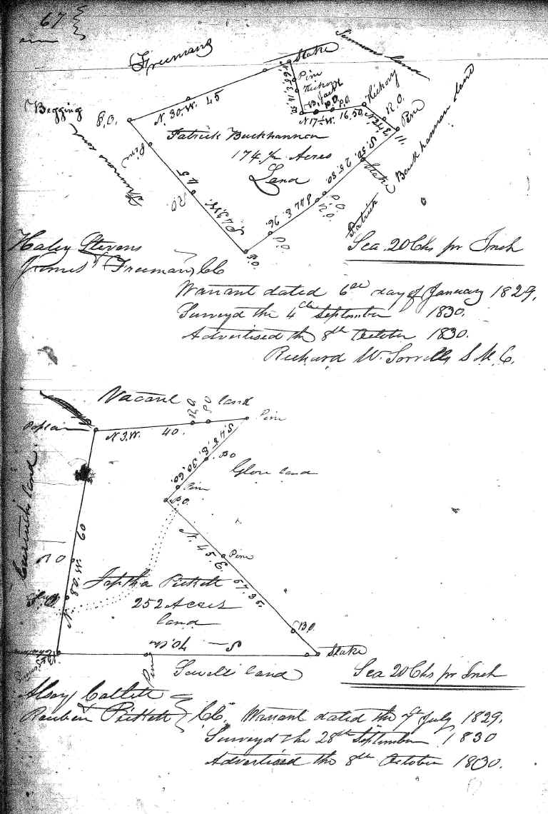 wpe95.jpg (1355983 bytes)