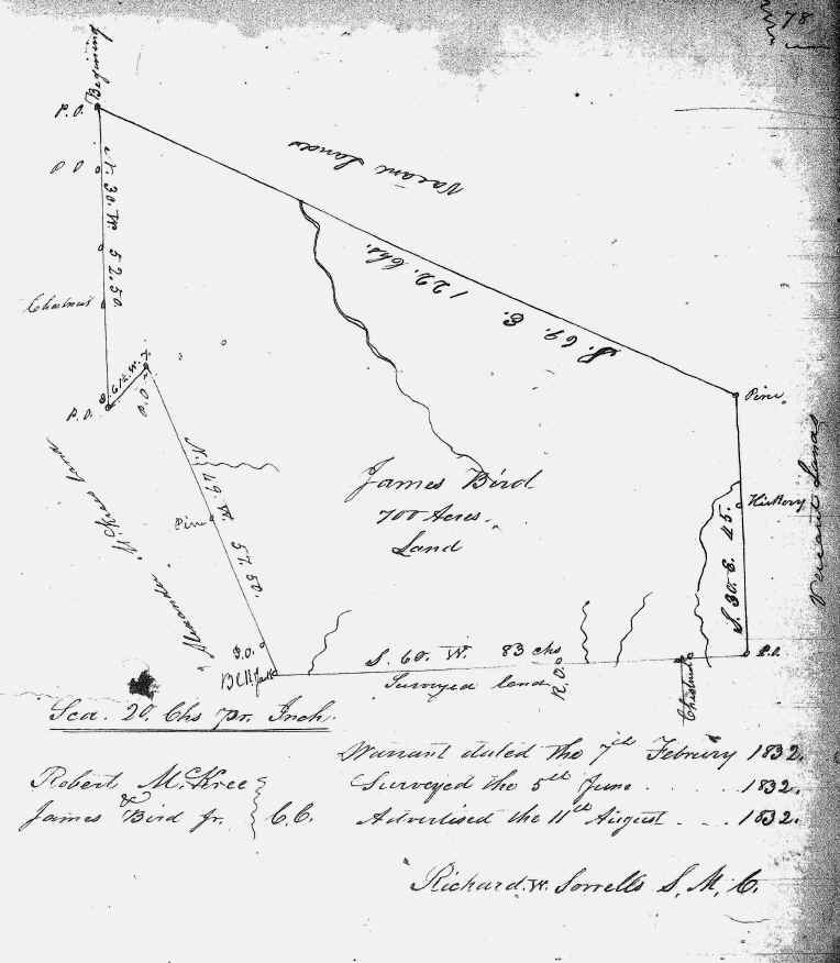 wpe90.jpg (1011707 bytes)