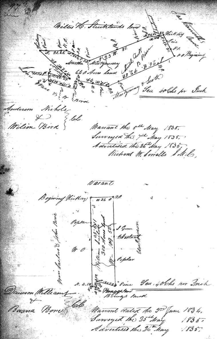 wpe71.jpg (1619082 bytes)