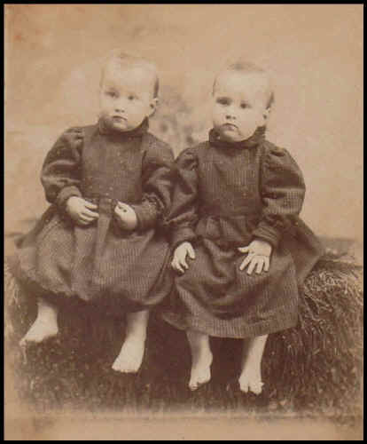 wpe137.jpg (33810 bytes)