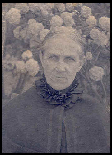 wpe19C.jpg (23369 bytes)