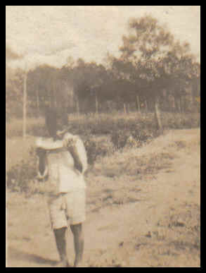 wpe17E.jpg (10545 bytes)