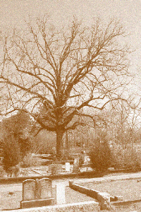 Watkinsville Cemetery