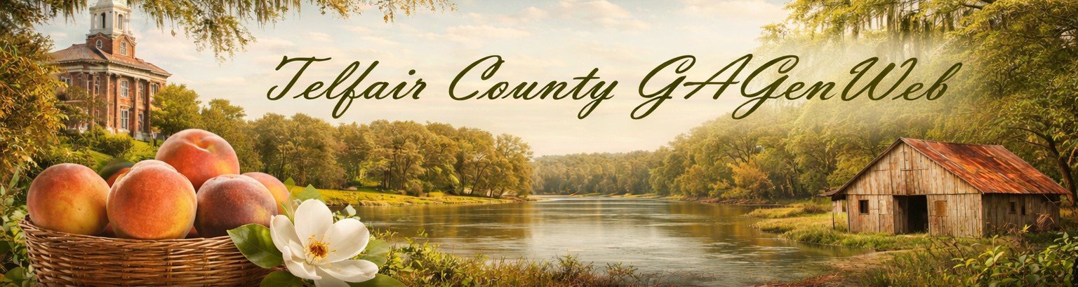 Telfair County banner
