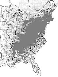 Map of American chestnut habitat
