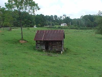 Old Nick Byers Cabin #1