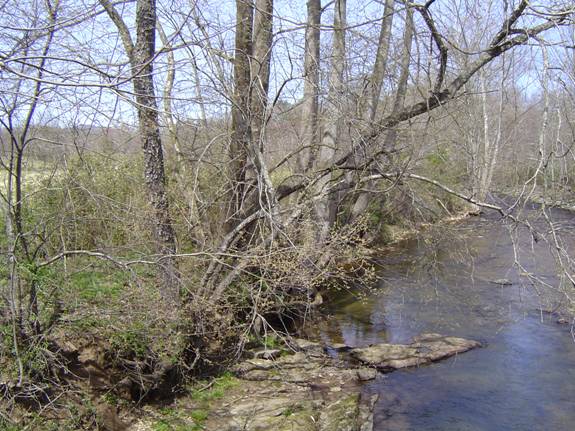 Nottely River