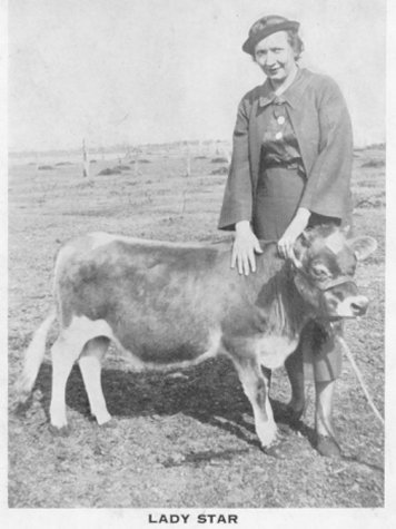 Lady Star, A Small Cow, Waycross