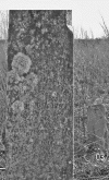 tombstone