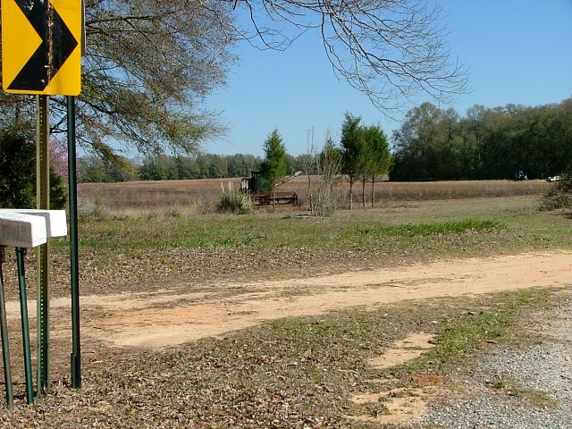 Field near Ammons Road