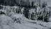 chaingang.jpg (30063 bytes)