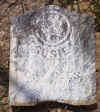 susiedees.jpg (39377 bytes)